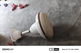 fan