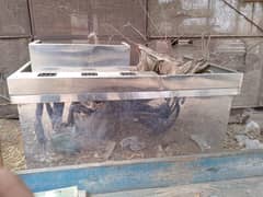 for sell