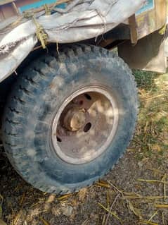 tarla 7/14 size