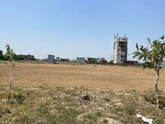Plot