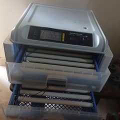 128 eggs fully automatic AC-DC Incubator