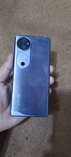 vivo