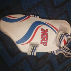 thigh pad lefty batsman