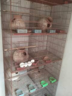 Cage For Sale