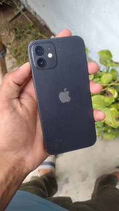 iPhone 12 jv /64 gb