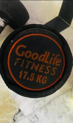 Dumbells 17.5 + 17.5 kg