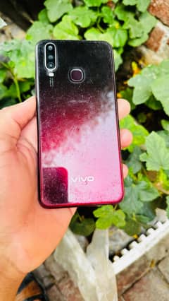 vivo