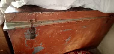 Trunk