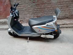electric scoty