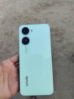 vivo