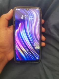 vivo