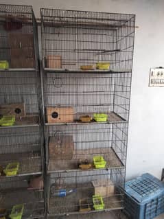 2.5*1.5*1.5 size Ka ak portion or char portion Ka ak cage