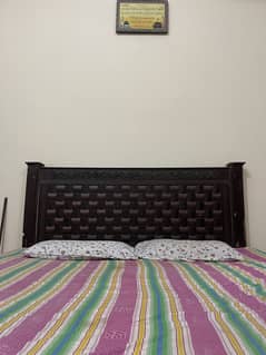 Molty matress 100% genuine ‼FREE WITH BED ‼