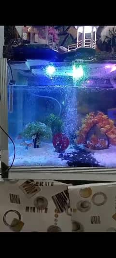Fish tank and decoration