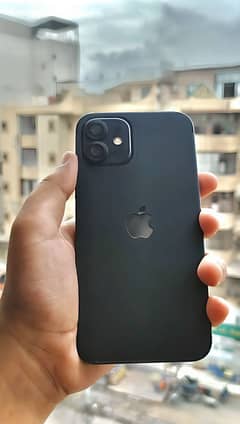 Iphone 12 (factory unlocked)