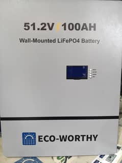 Brand New Eco Worthy lithium battery (with Guarantee)