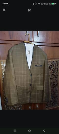 pent coat