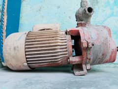 Water PUMP for Sale