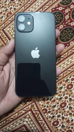 iPhone 12