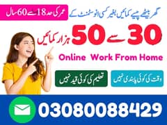 Typing job / Data Entry Job / Assignment Job / Online Job / Part Time