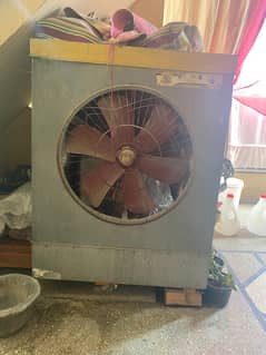 Cooler