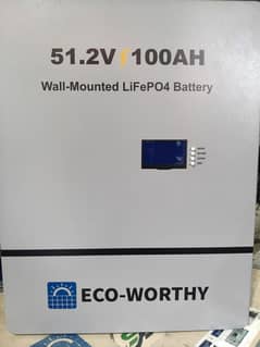 Brand New Eco Worthy Lithium battery( With Guarentee)
