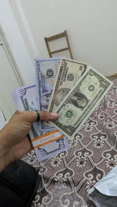 Dollar for weddings or videos