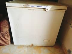 Dawlance d freezer