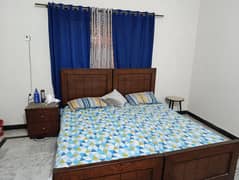 blue curtains
