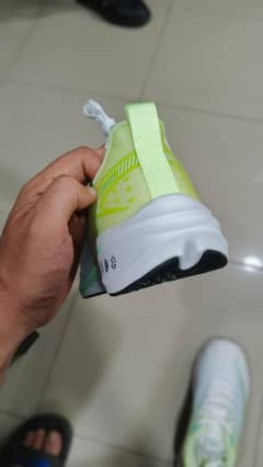 Original