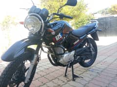 Yamaha YBR 125G 2023 Lush Condition