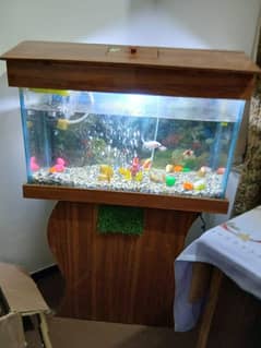 fish