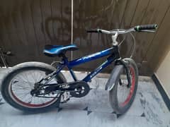 FAT BIKE