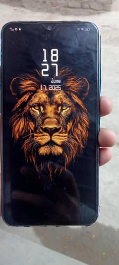 vivo