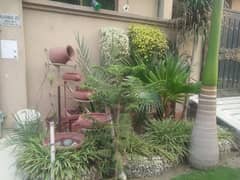 Lower Portion For Rent In Johar Town Block R-1