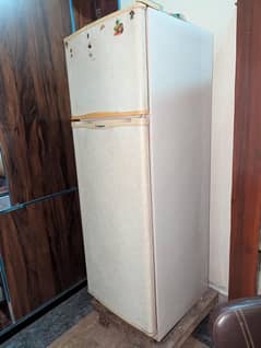 Refrigerator ( Fridge)