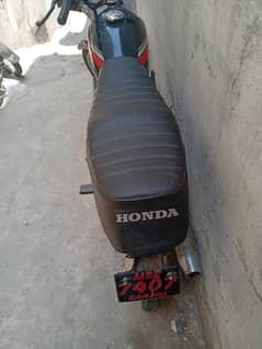 treet 2019 model