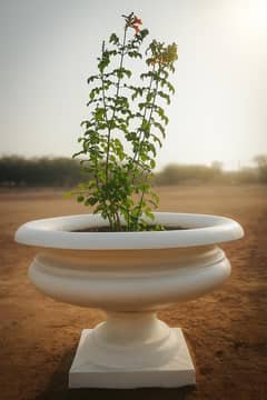 Elegant Italian concrete flower pots