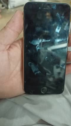 Iphone 6 Pta Approved