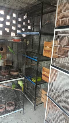 cages for sale