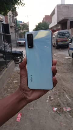 vivo