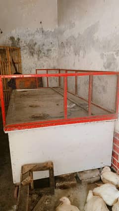counter