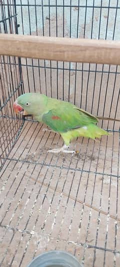For sale