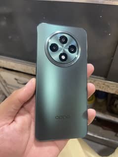 Reno 12f (8gb 256gb)