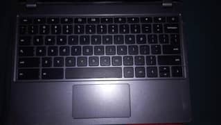 Acer
