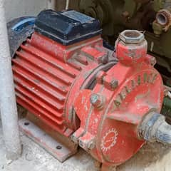 Alliance monoblock pump  1 HP