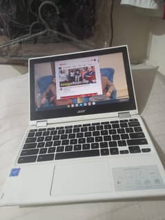 Acer