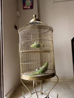 cage for big bird