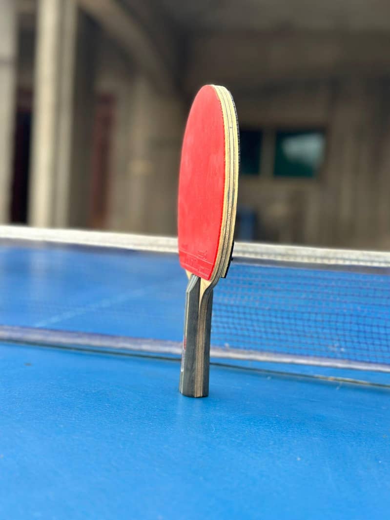 Racket 5
