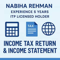 Income Tax Consultant